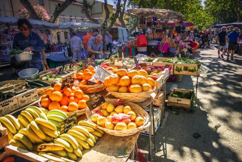 france-camargue-2