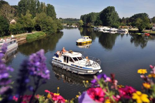 france-mayenne-fleurs